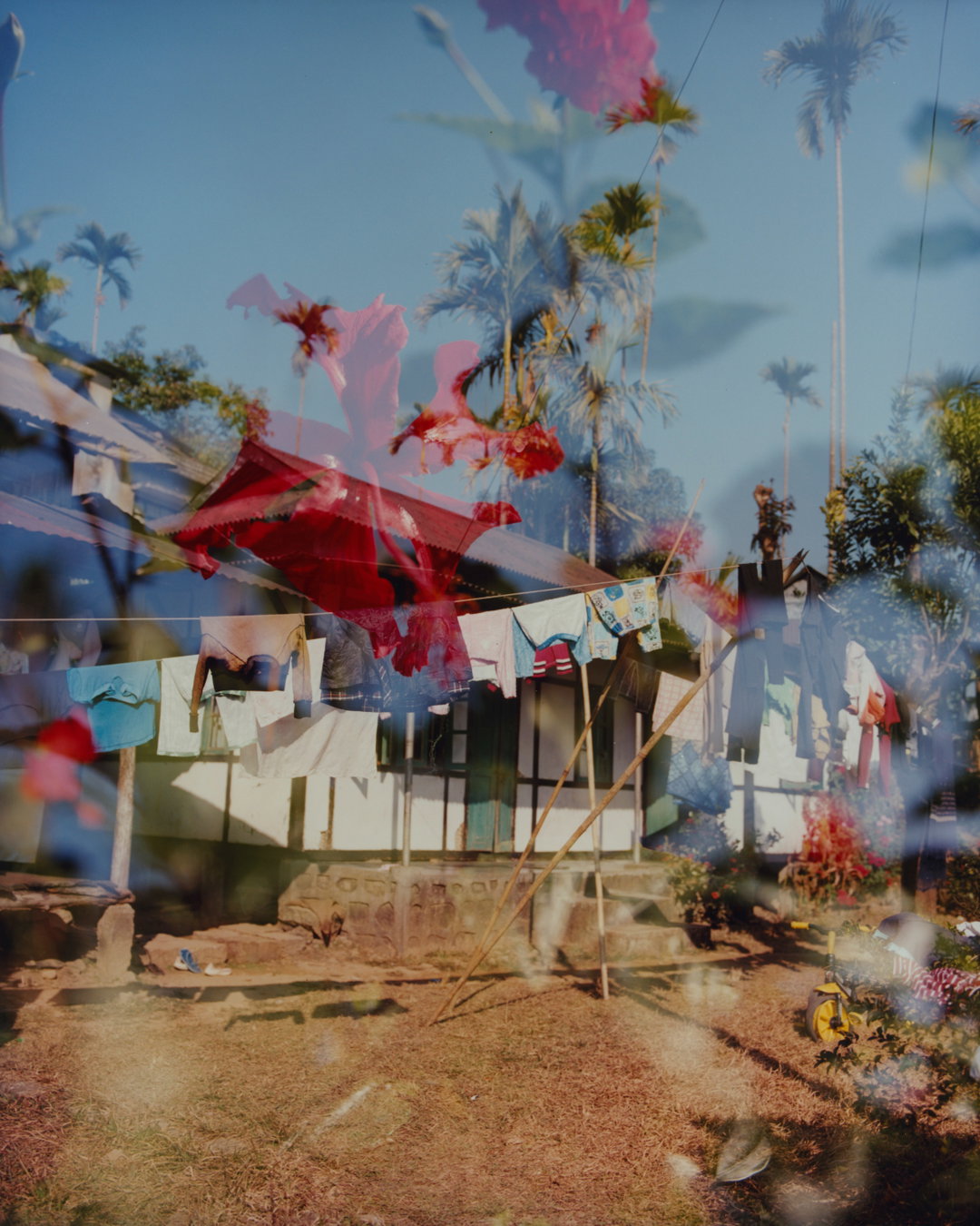 bharat-sikka-sylvan-symphony-atmos-photography-itsnicethat-01.jpg
