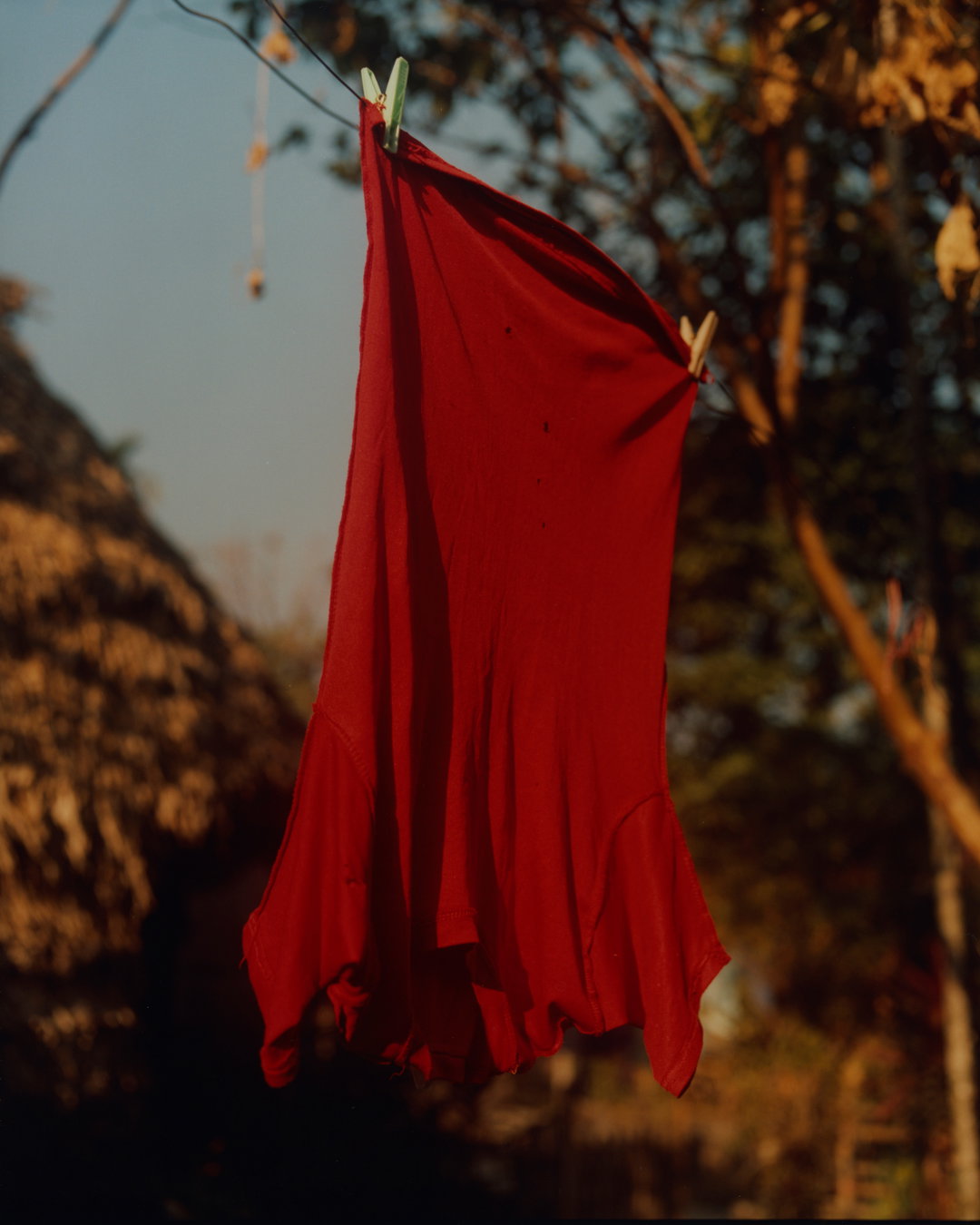 bharat-sikka-sylvan-symphony-atmos-photography-itsnicethat-09.jpg