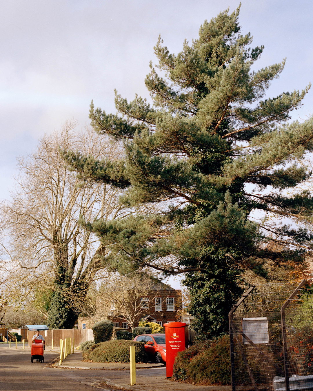 CassianGray-BigTree-Photography-itsnicethat.jpg