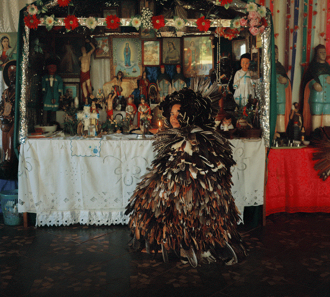 bjp-international-photography-award-photography-itsnicethat-01.gif