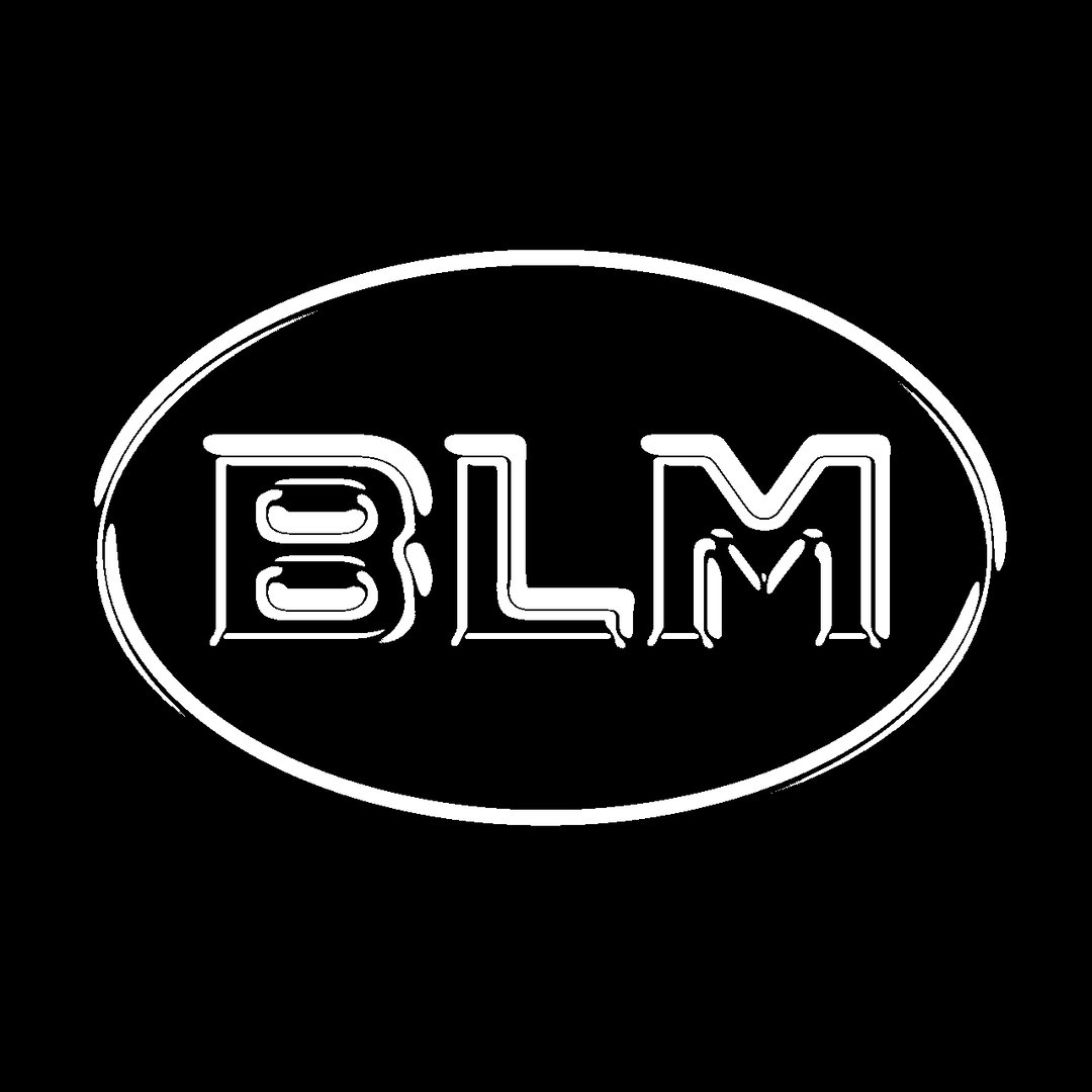 DesmondPalmer-BLM-GraphicDesign-itsnicethat.jpg