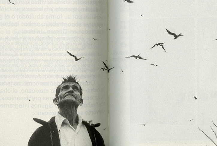 blok-design-origen-mexico-work-graphic-design-publication-itsnicethat-03.jpg