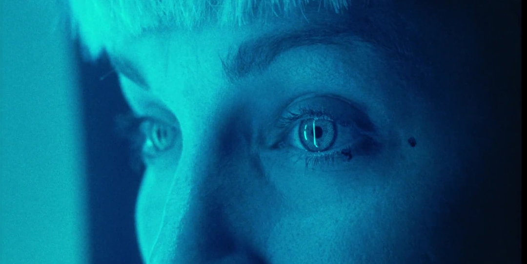 bravo-network-film-sponsored-content-itsnicethat-08.jpg