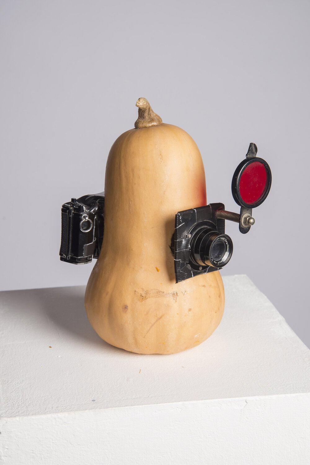 A camera made out of a butternut squash? That’s not even the weirdest of Brendan Barry’s creations
