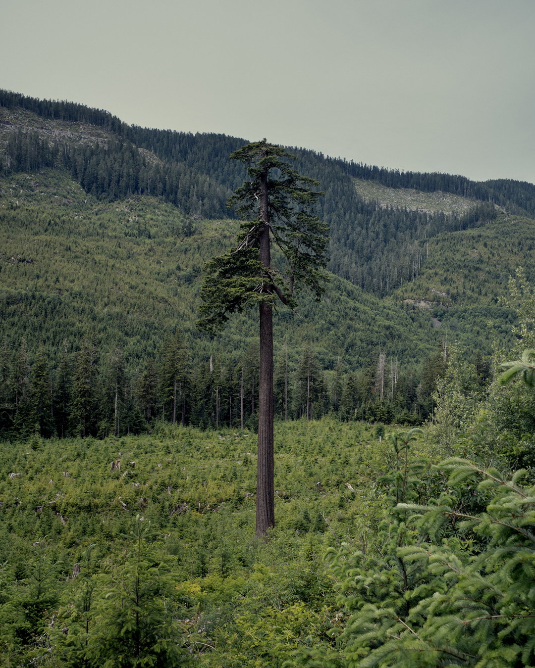 brendan-george-ko-photography-itsnicethat-02.jpg