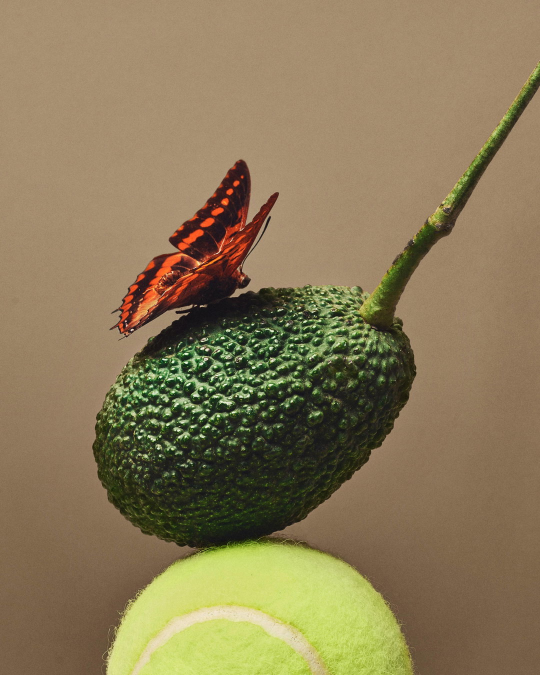 brian-okarski-sweetgreen-graphicdesign-itsnicethat-02.jpg