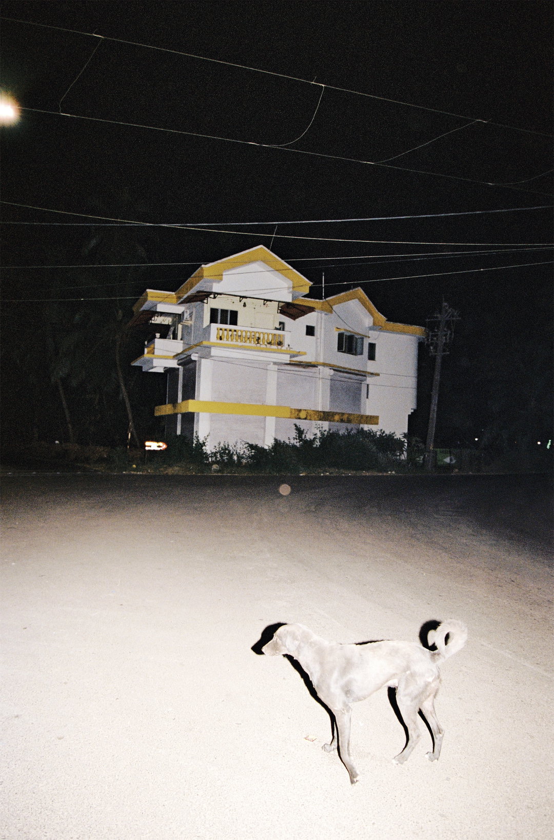 brice-dossin-xmas-vindaloo-photography-itsnicethat-16.jpg