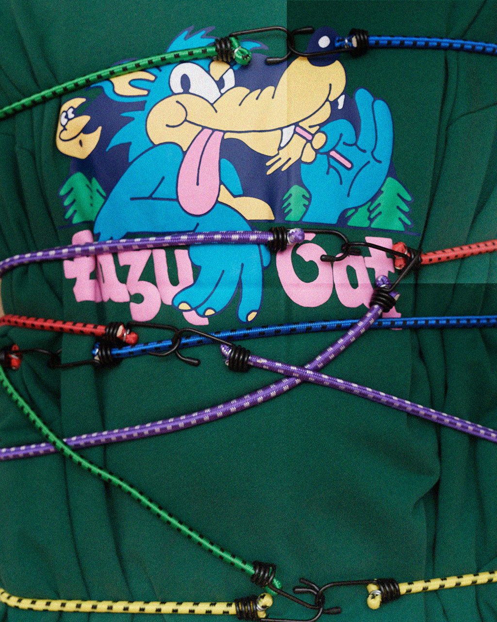 bungee cord pic.jpg