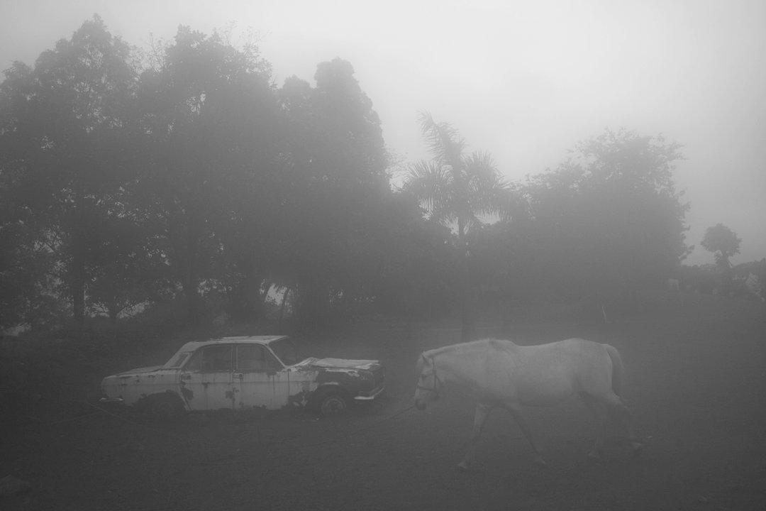 caleb-stein-long-time-no-see-photography-itsnicethat-03.jpg