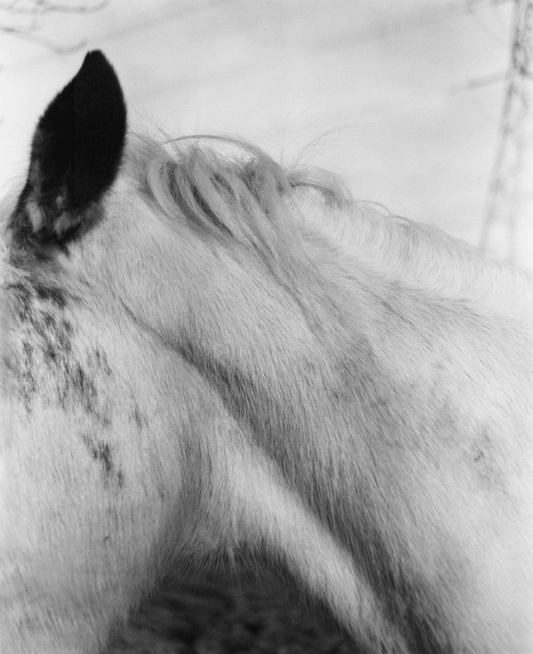 callum-su-photography-itsnicethat-19