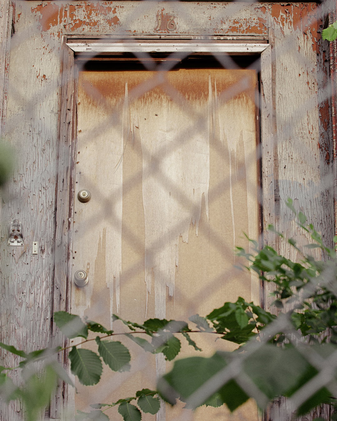 cam-robert-few-good-things-film-itsnicethat1.jpg