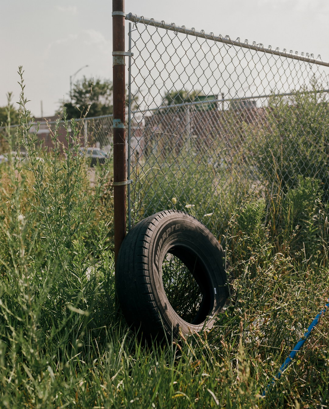 cam-robert-few-good-things-film-itsnicethat3.jpg