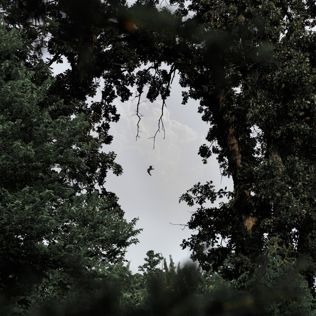 cam-robert-few-good-things-film-itsnicethat5.jpg
