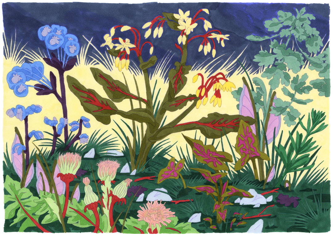 camille-gobourg-illustration-itsnicethat1.jpg