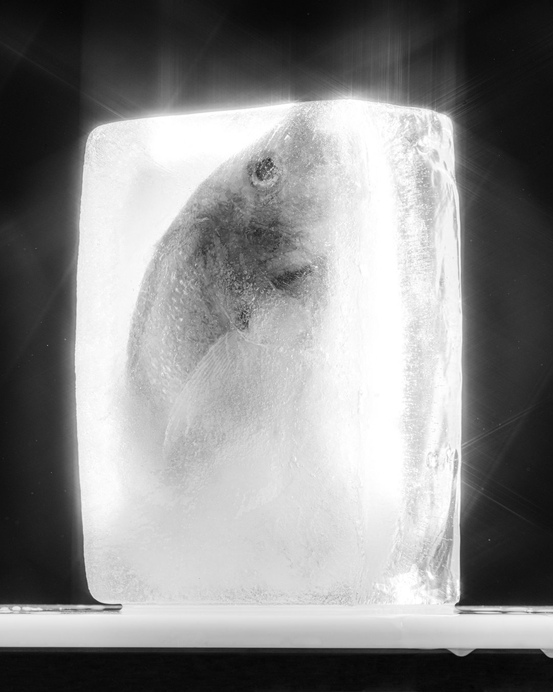 carlos-jaramillo-roc-photography-itsnicethat-08.jpg