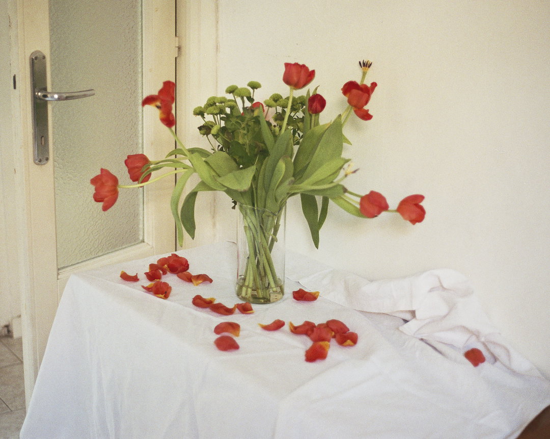 carmen-colombo-photography-itsnicethat-02.jpg