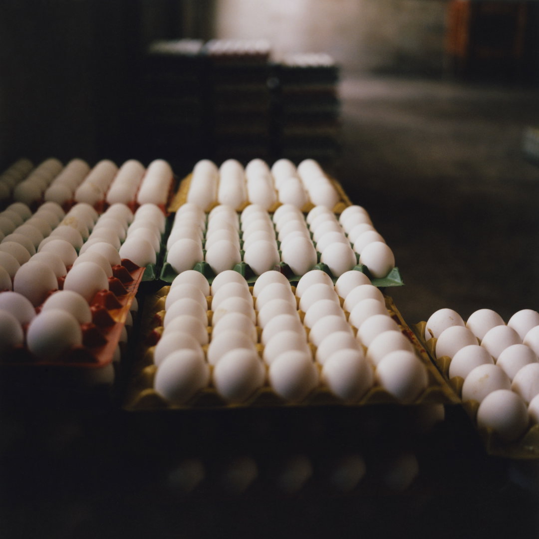 caroline-irby-someone-elses-mother-publication-itsnicethat-4.jpg