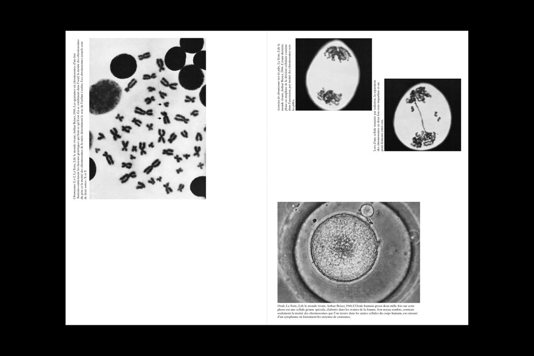 catalogue of my master degree 03 mathilde quentin, 2019.jpg