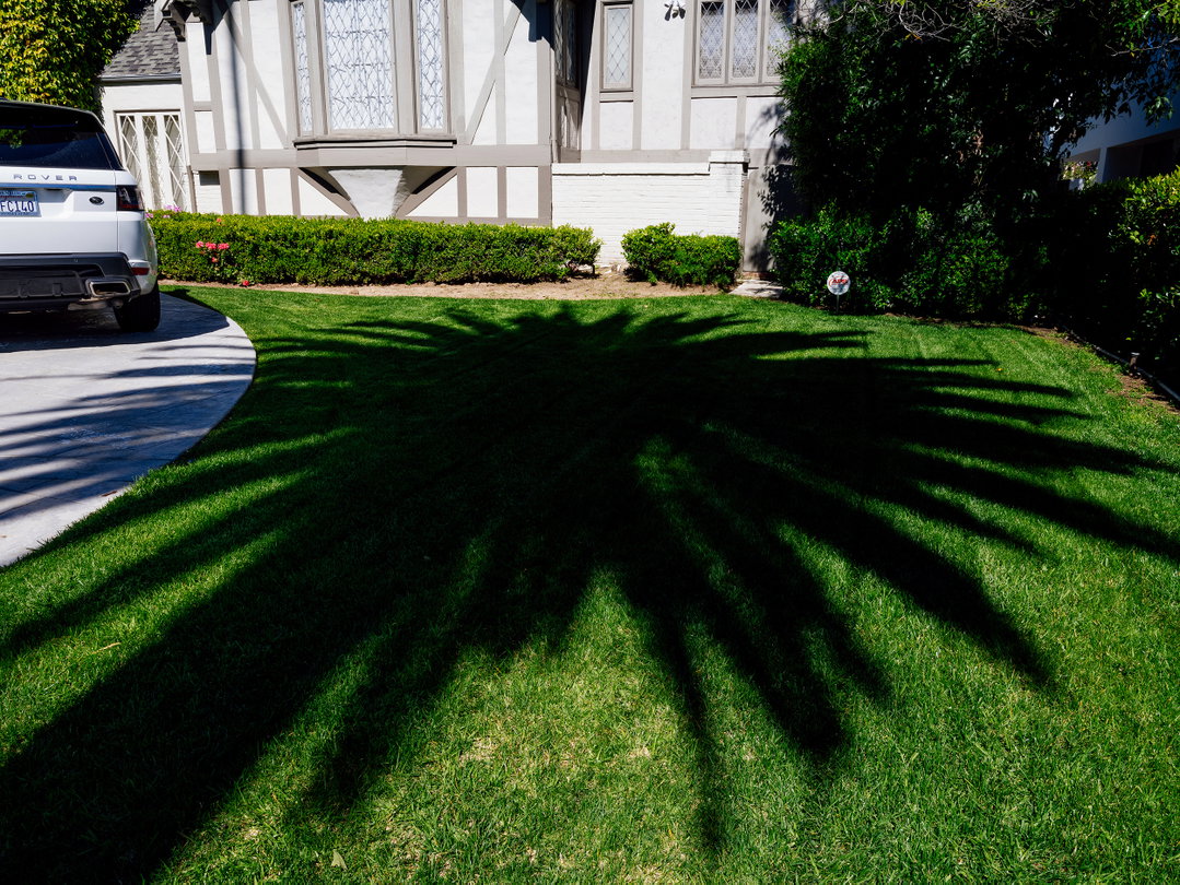 The long shadow of a palm tree stretches across a bright green lawn. In the background, a white car is parked in front of a Tudor-style house.
