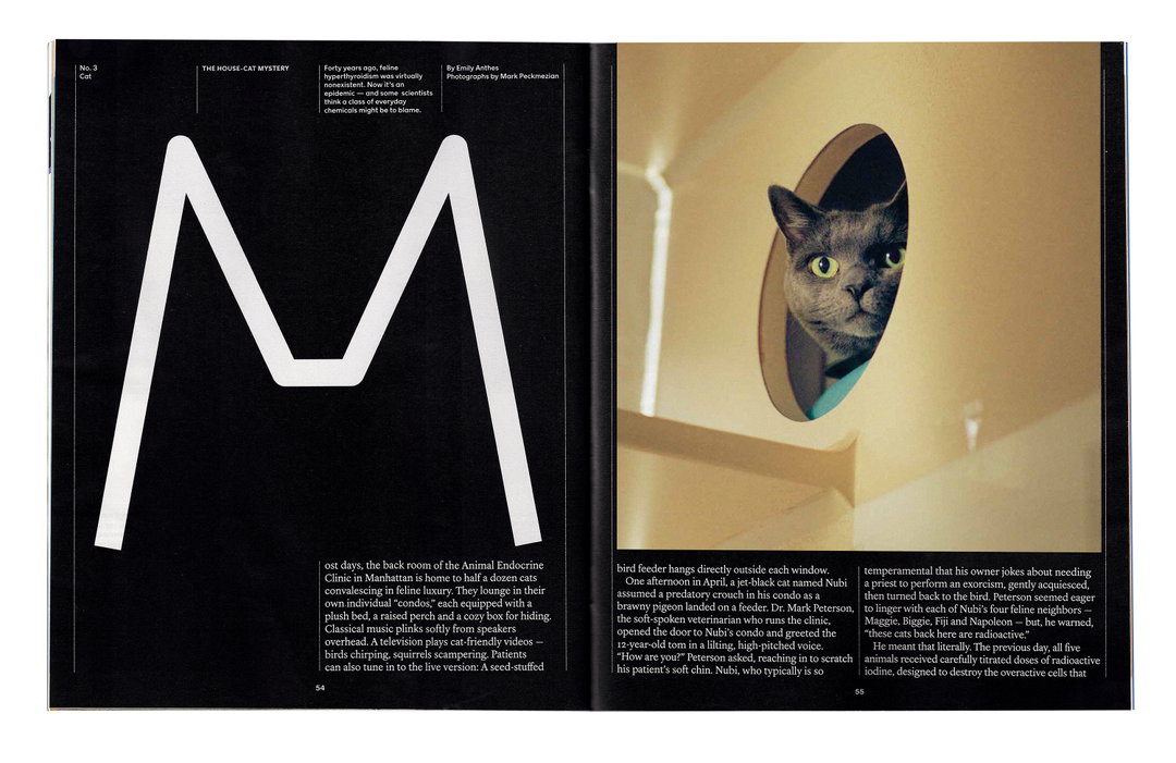 chloe-scheffe-graphic-design-itsnicethat-12.jpg