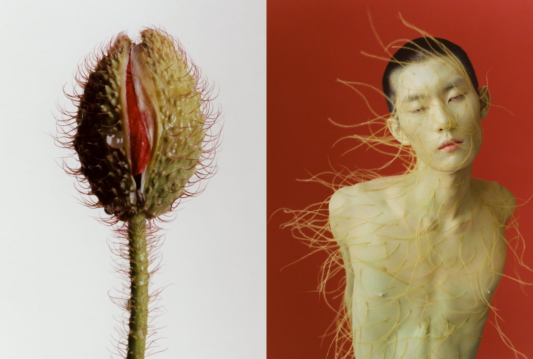 cho-gi-seok-photography-itsnicethat-01.jpg