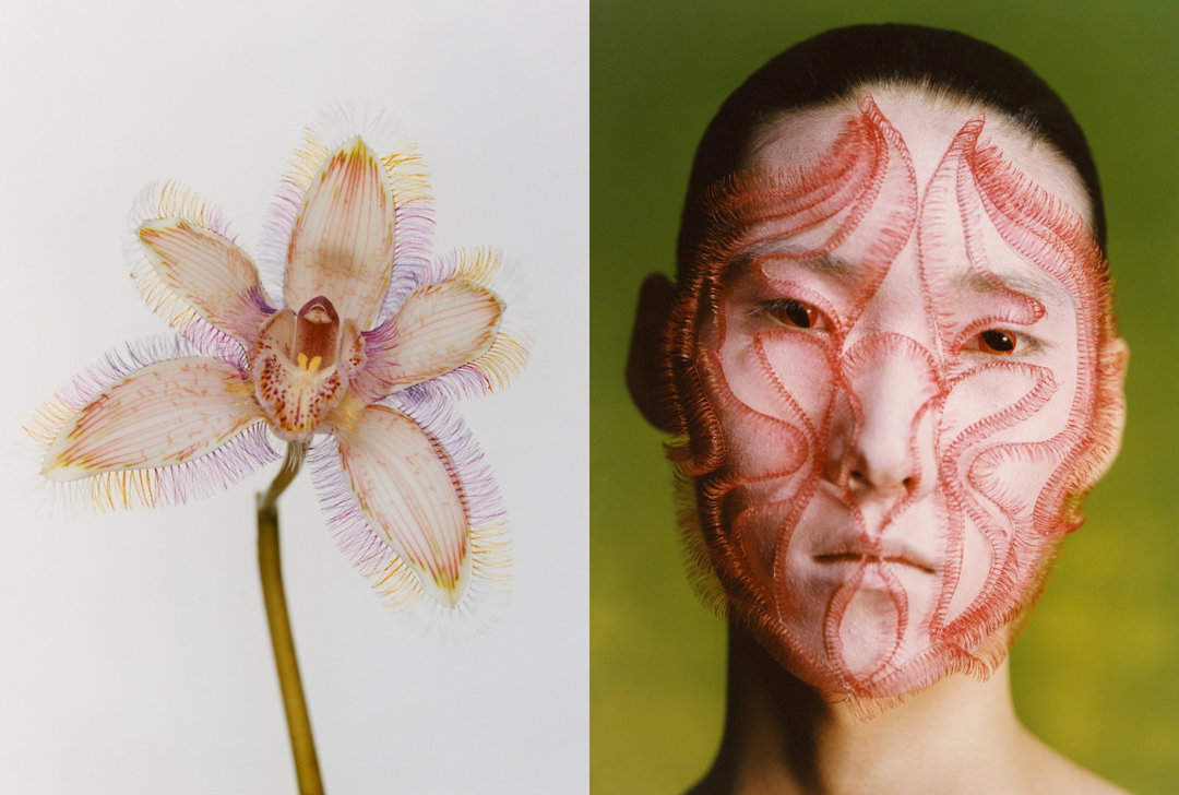 cho-gi-seok-photography-itsnicethat-02.jpg
