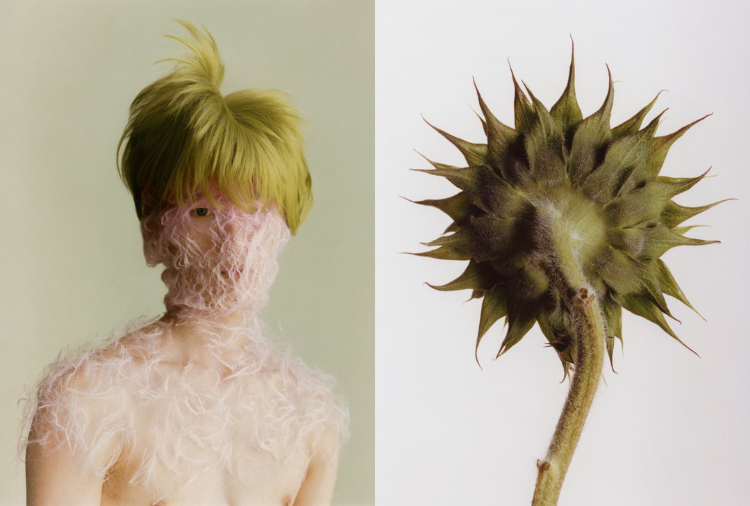 cho-gi-seok-photography-itsnicethat-04.jpg