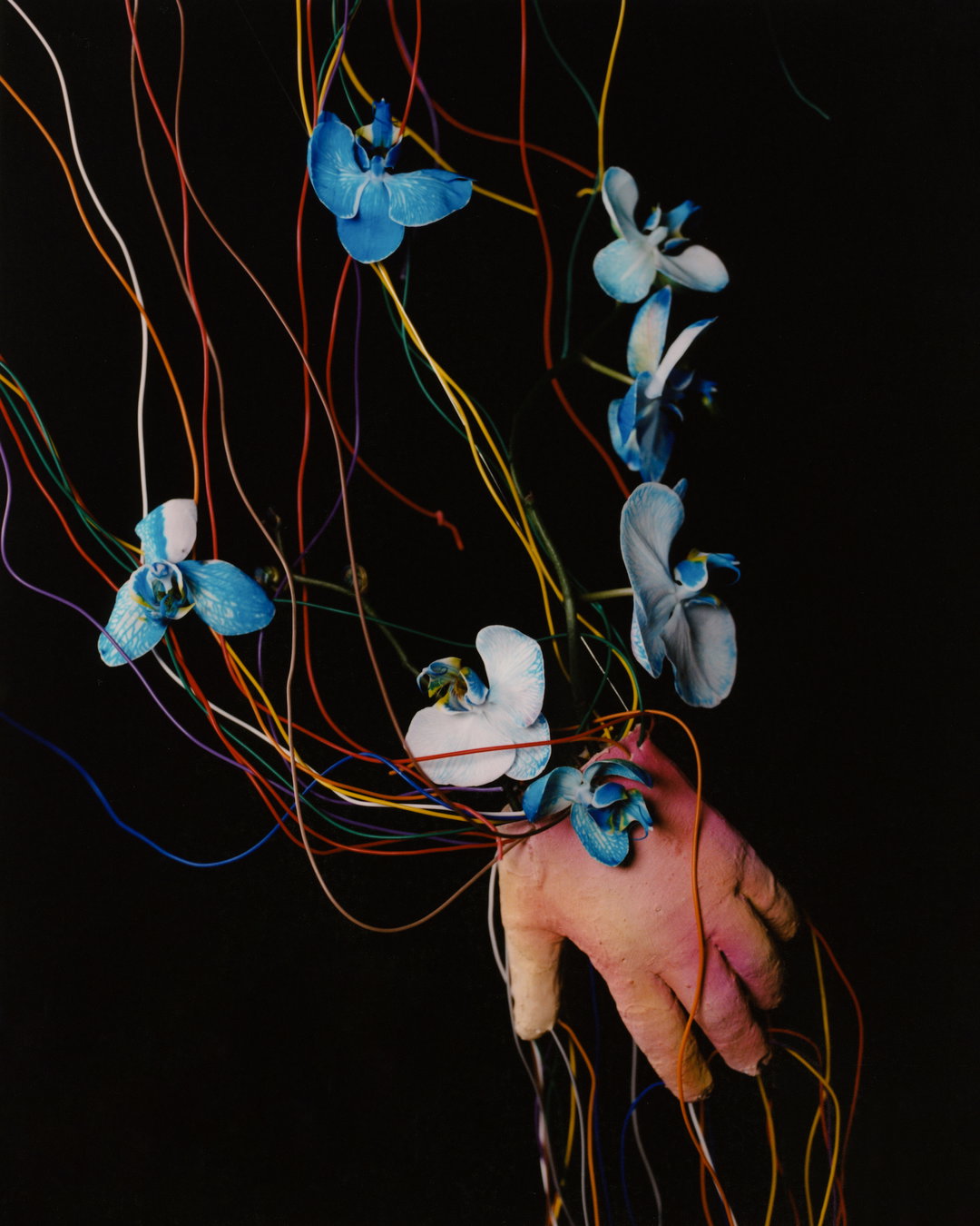 cho-gi-seok-photography-itsnicethat-06.jpg