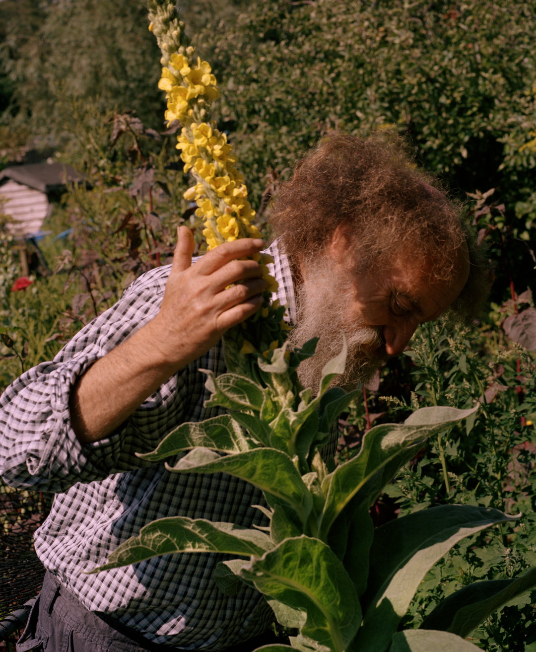 chris-hoare-growing-spaces-photography-itsnicethat-4.jpg