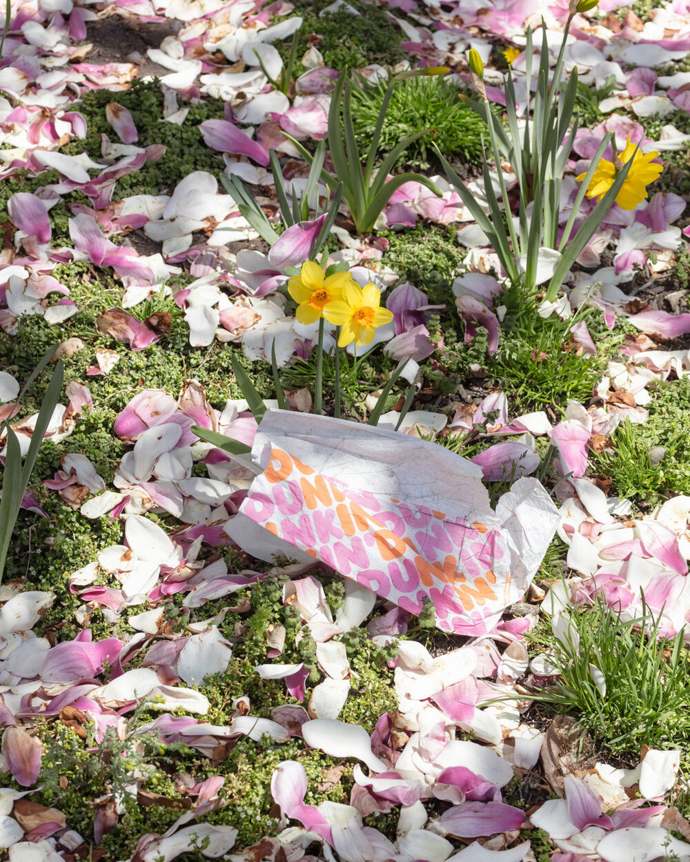 chris-maggio-scenes-from-the-last-day-work-photography-itsnicethat-3.jpg