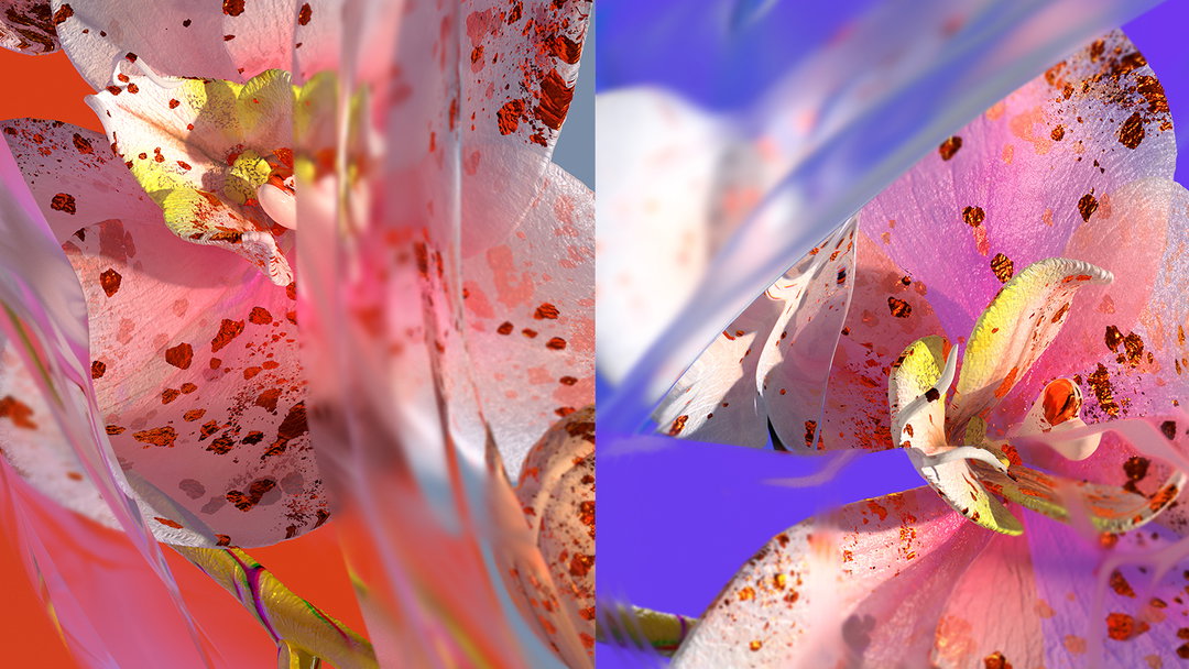 christina-worner-dada-projects-digital-itsnicethat-11.jpg