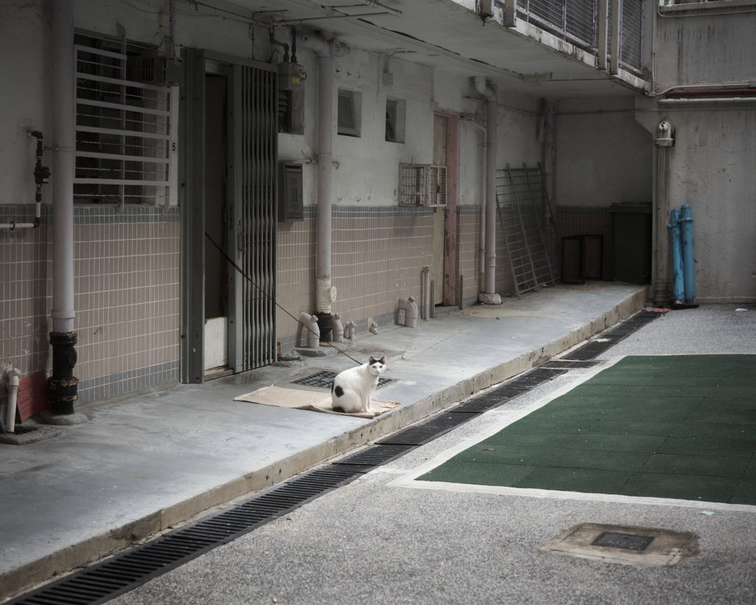 chung-wai-wong-SoLongHK_005.jpg