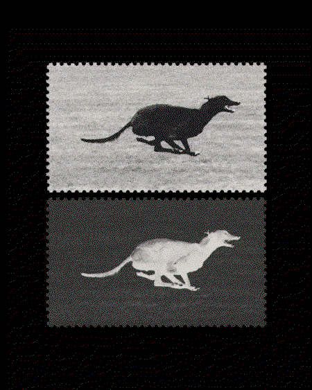 Jacob-hutch-graphic-design-discover-itsnicethat-05