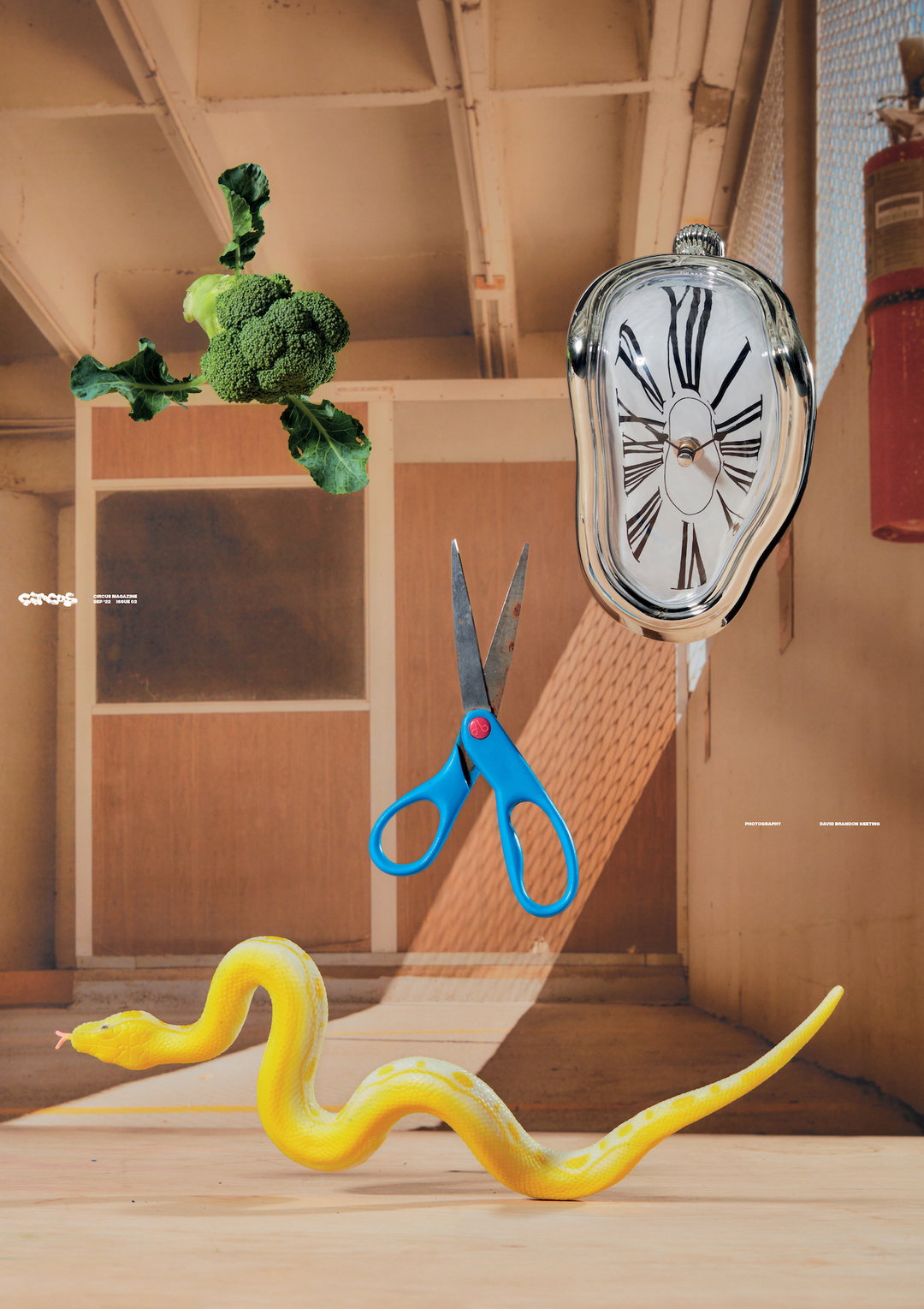 circusmag-issue2-publication-itsnicethat-14.jpg