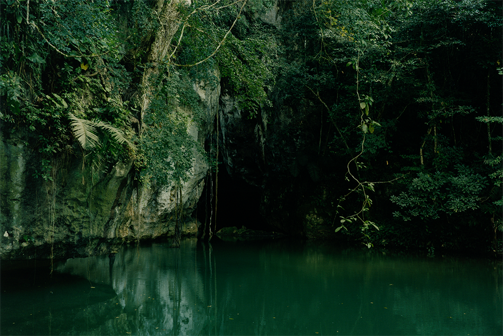 Deeper Green documents front-line conservation efforts in Belize