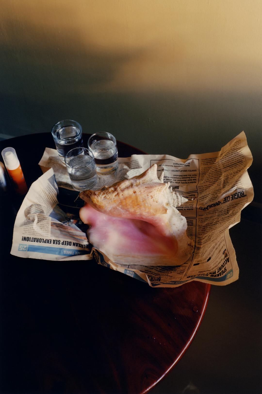 colin-dodgson-deeper-green-work-photography-itsnicethat-06.png