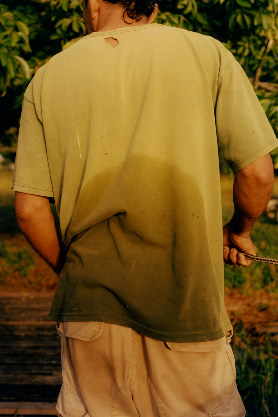 colin-dodgson-deeper-green-work-photography-itsnicethat-10.png