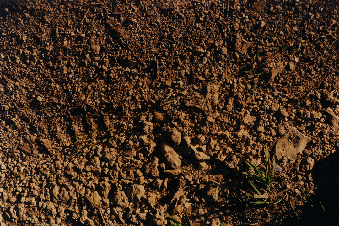 colin-dodgson-deeper-green-work-photography-itsnicethat-12.png