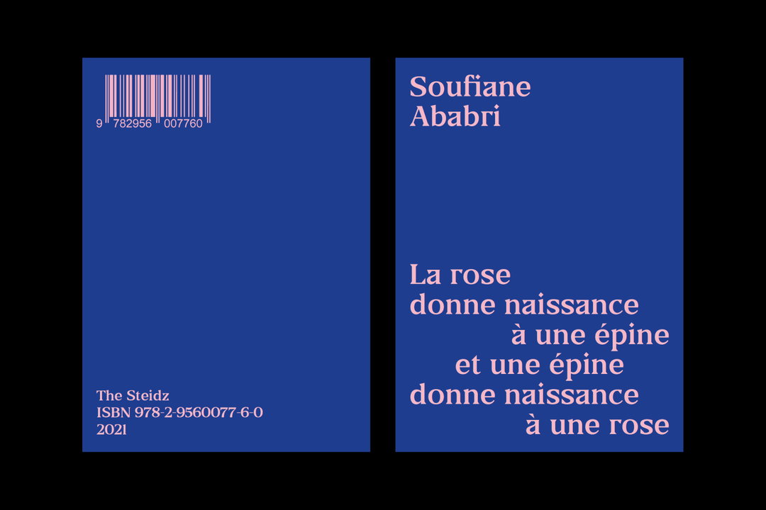 cover of soufiane ababri book mathilde quentin  the steidz, 2021.jpg