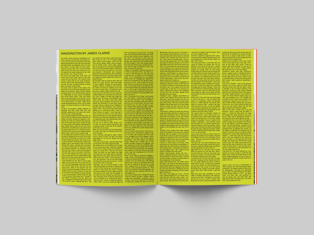 cultural-bulletin-work-pulibcation-itsnicethat-5.jpg
