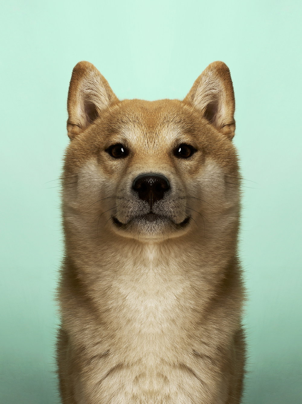 dag-knudsen-symmetrizoo-work-photography-itsnicethat-16.jpg