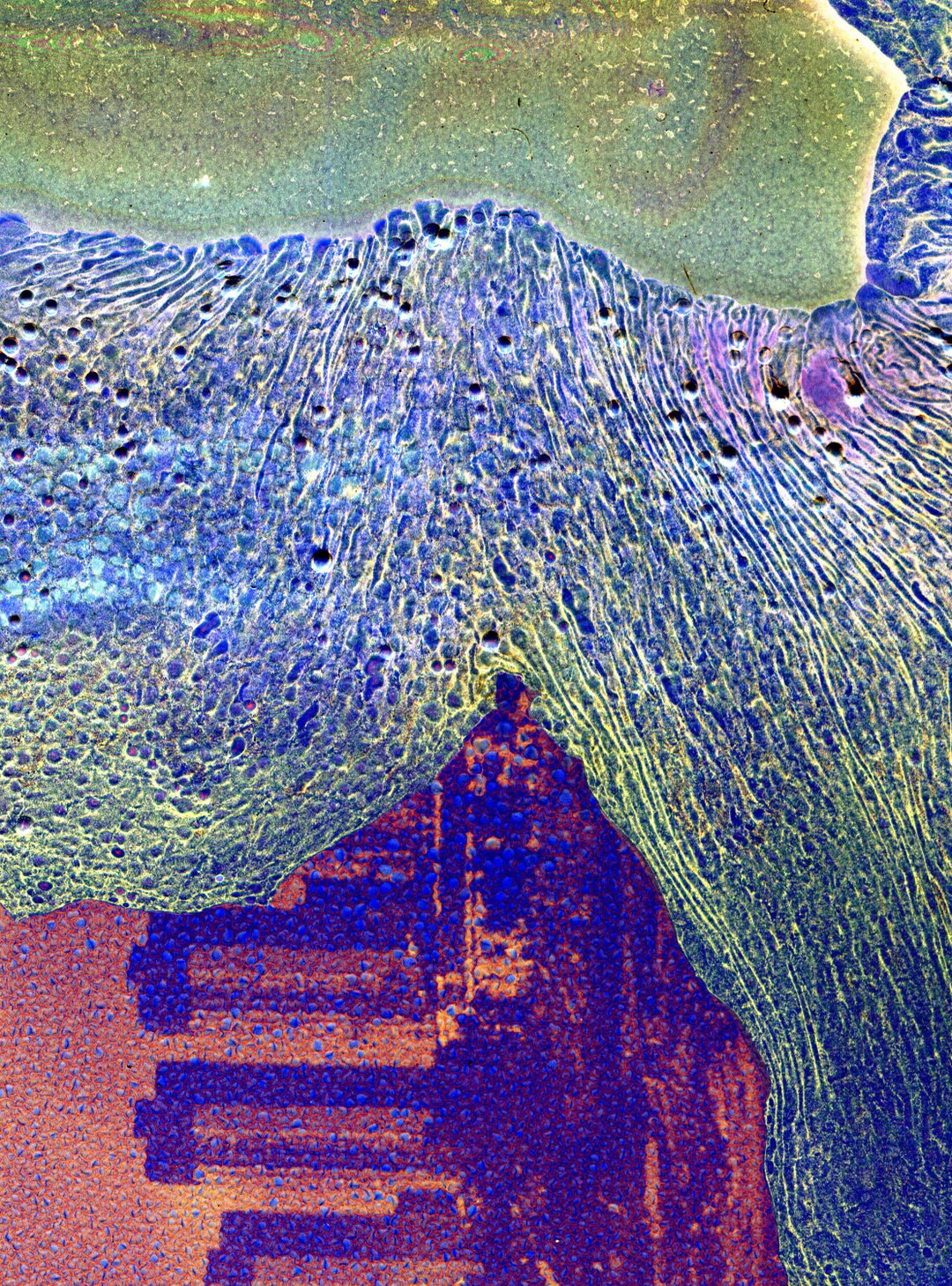 daisuke-yokota-matter-burnout-photography-itsnicethat.jpg