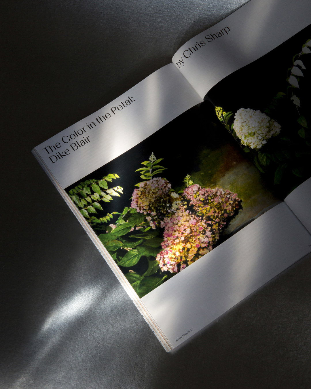 dallas-work-graphic-design-itsnicethat-04.jpg