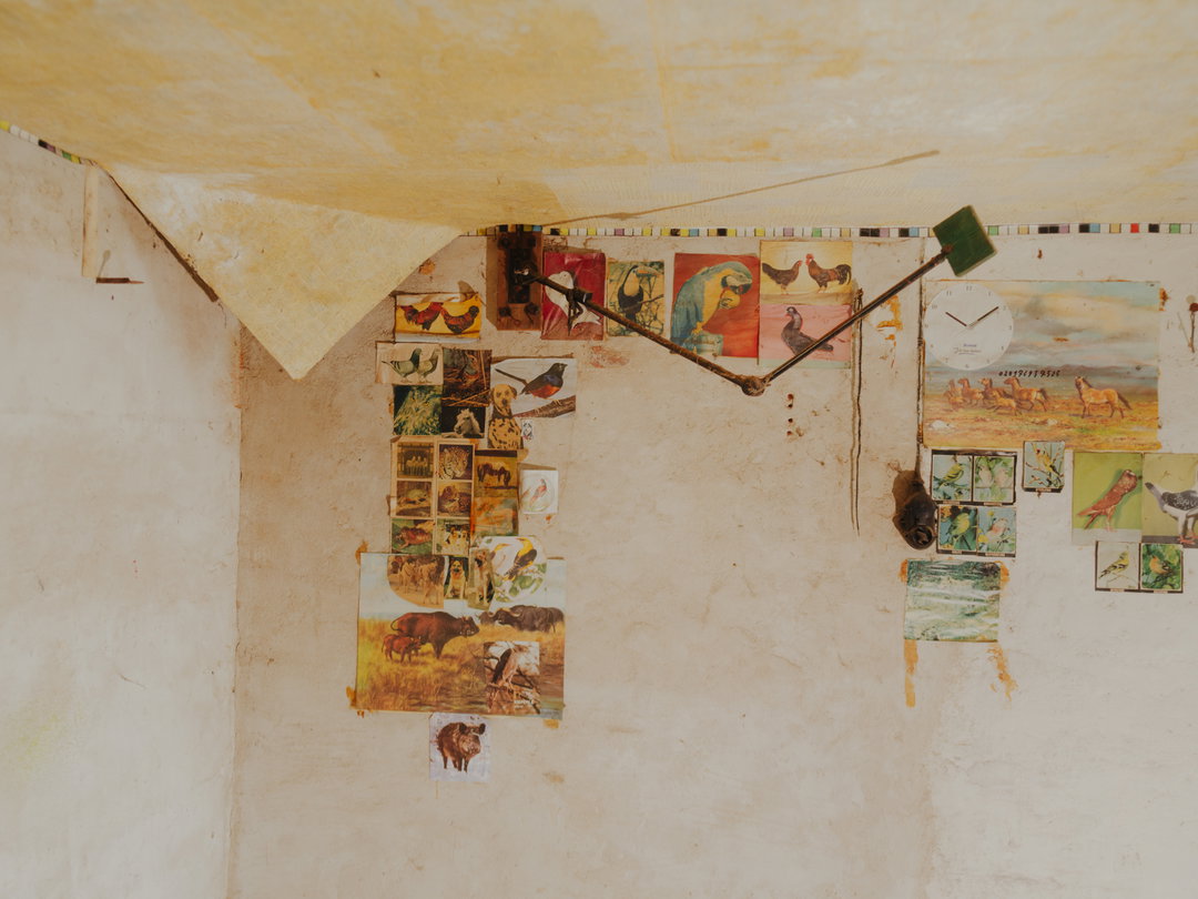dan-wilton-itsnicethat-DW_B7727.jpg