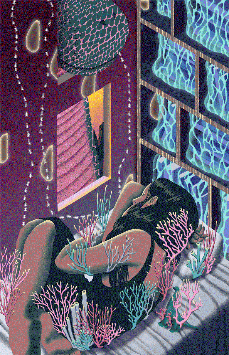 dani choi illustration itsnicethat_summernightsdream_ .gif