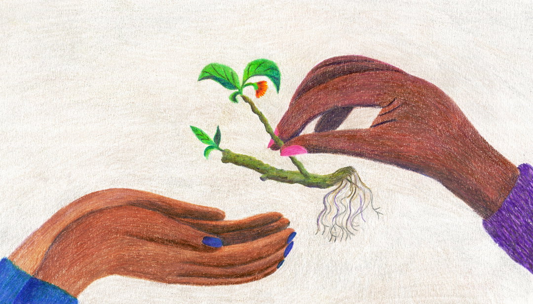 daniel-salmieri-new-yorker-illustration-itsnicethat-03.jpg