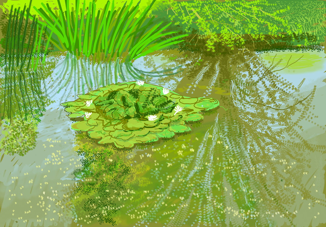 david hockney the arrival of spring royal academy art itsnicethat_key 106.jpg