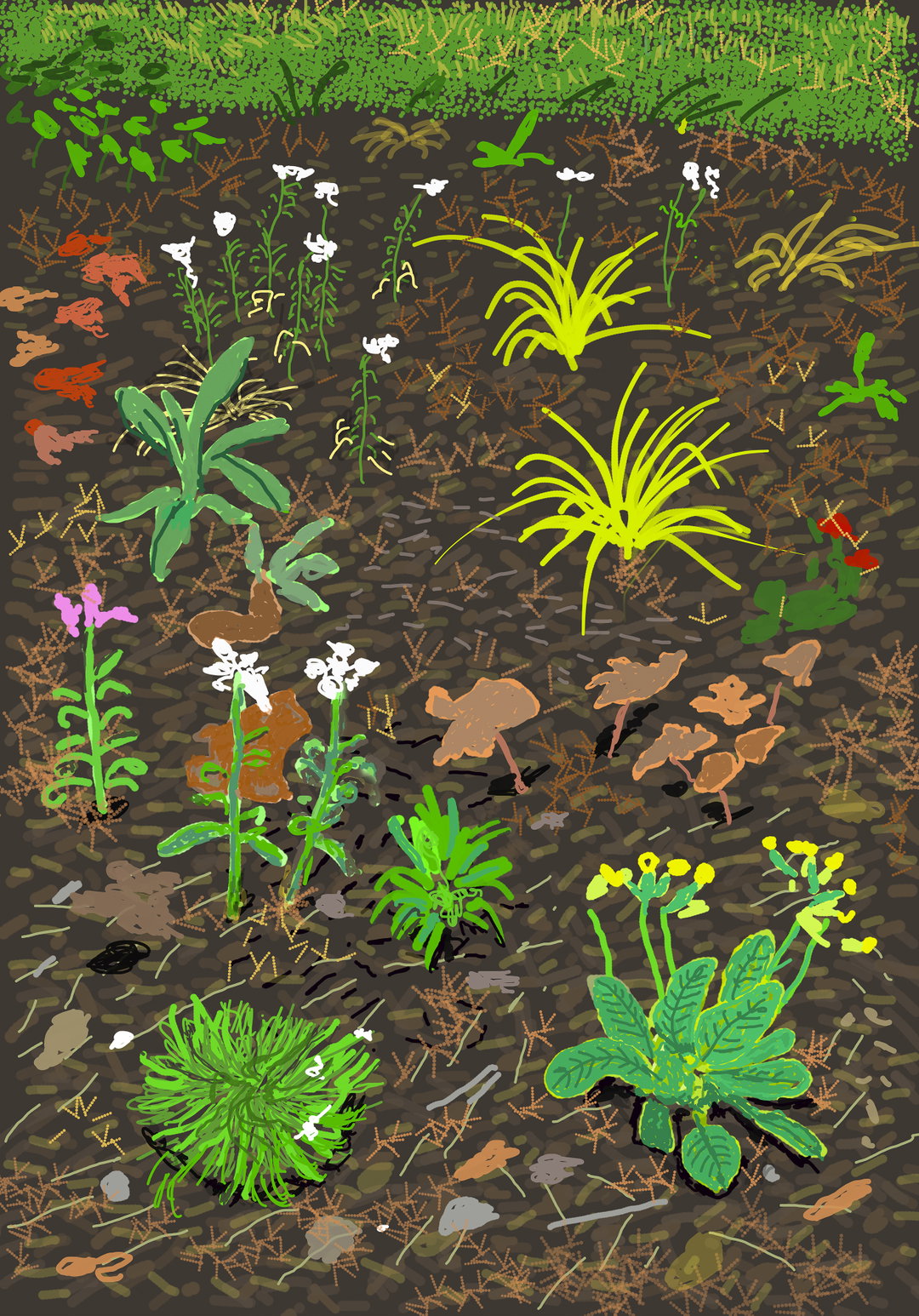 david hockney the arrival of spring royal academy art itsnicethat_key 47.jpg