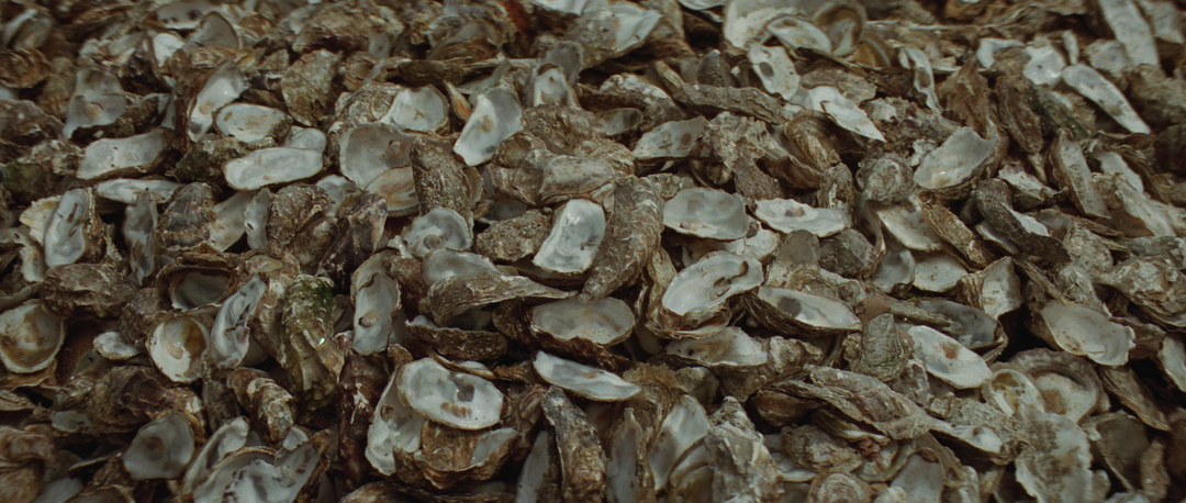 somesuch-book-trailers-film-itsnicethat07