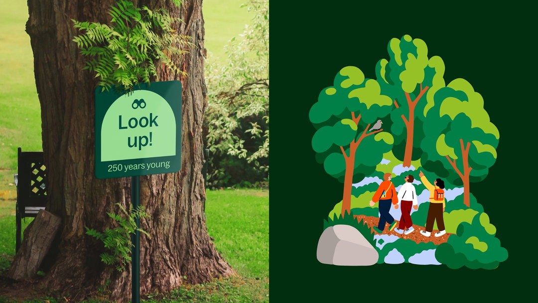 designstudio-center-parcs-europe-graphic-design-itsnicethat-05.jpg